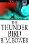 [Skyrider 02] • The Thunder Bird (Duke Classics)